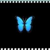 leoveidy_43